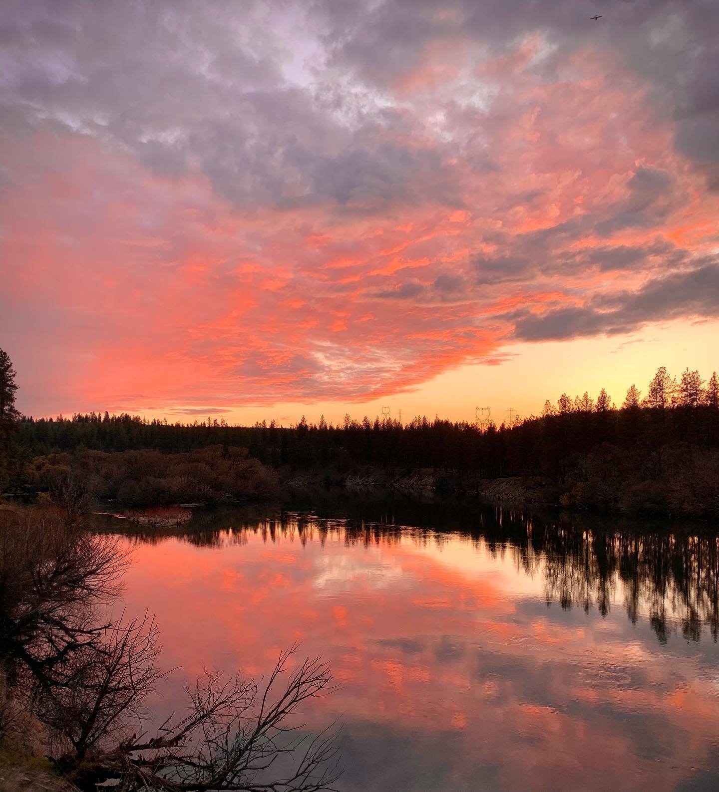 Adel14Awajy's profile picture. 