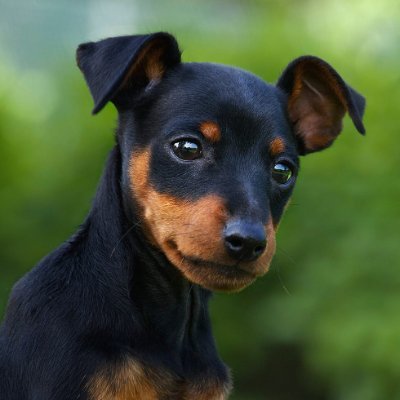 chandra7vir's profile picture. 💰 Hunting Airdrops | 🕹️ Completing Quests | 🔑 Web3 Explorer