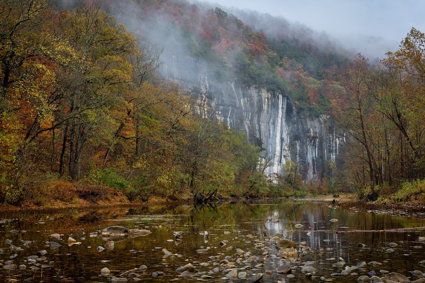 Got33212's profile picture. 