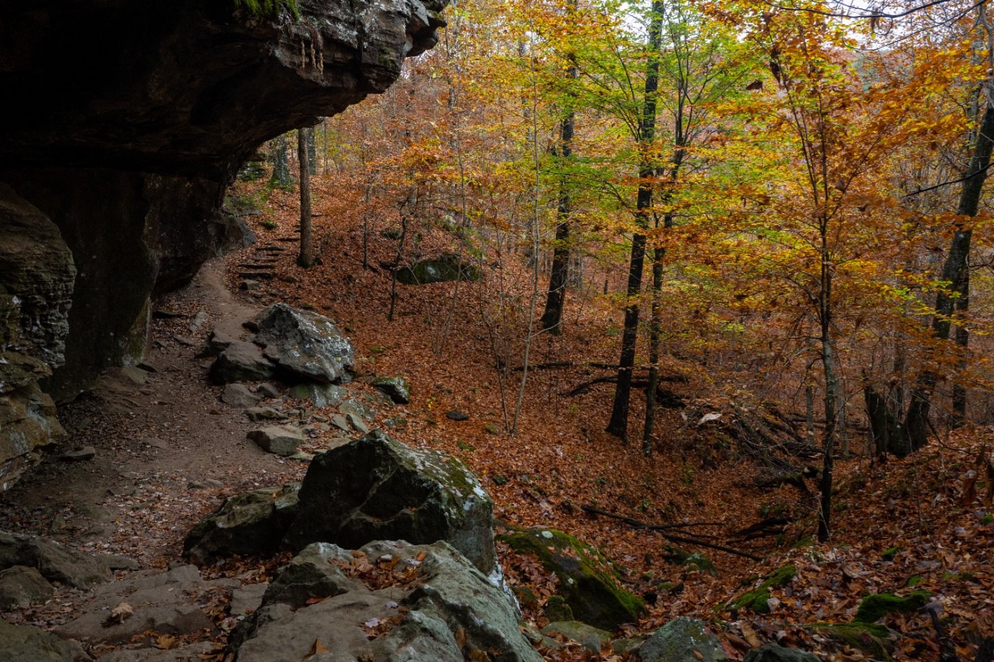 ohbro1994's profile picture. 