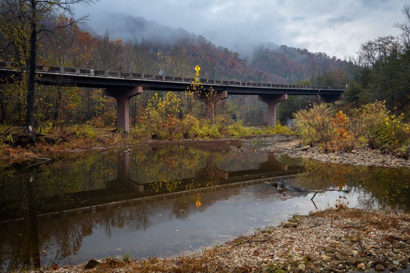 SenorThomason's profile picture. 