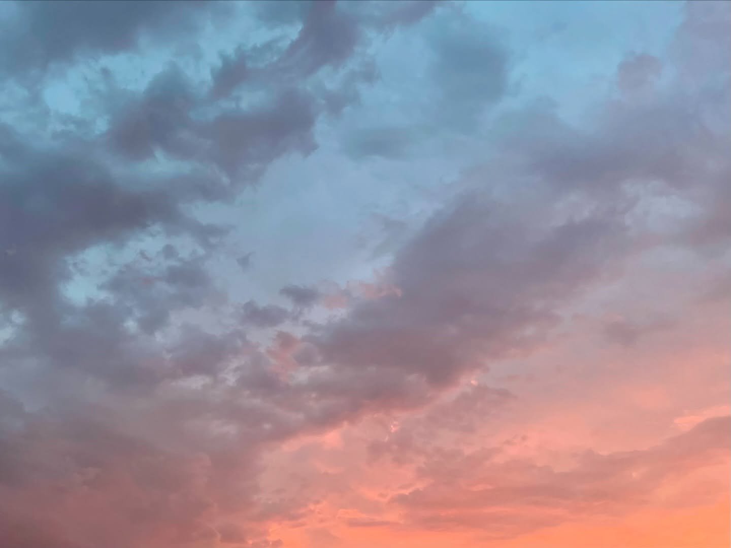 arui47266790's profile picture. 