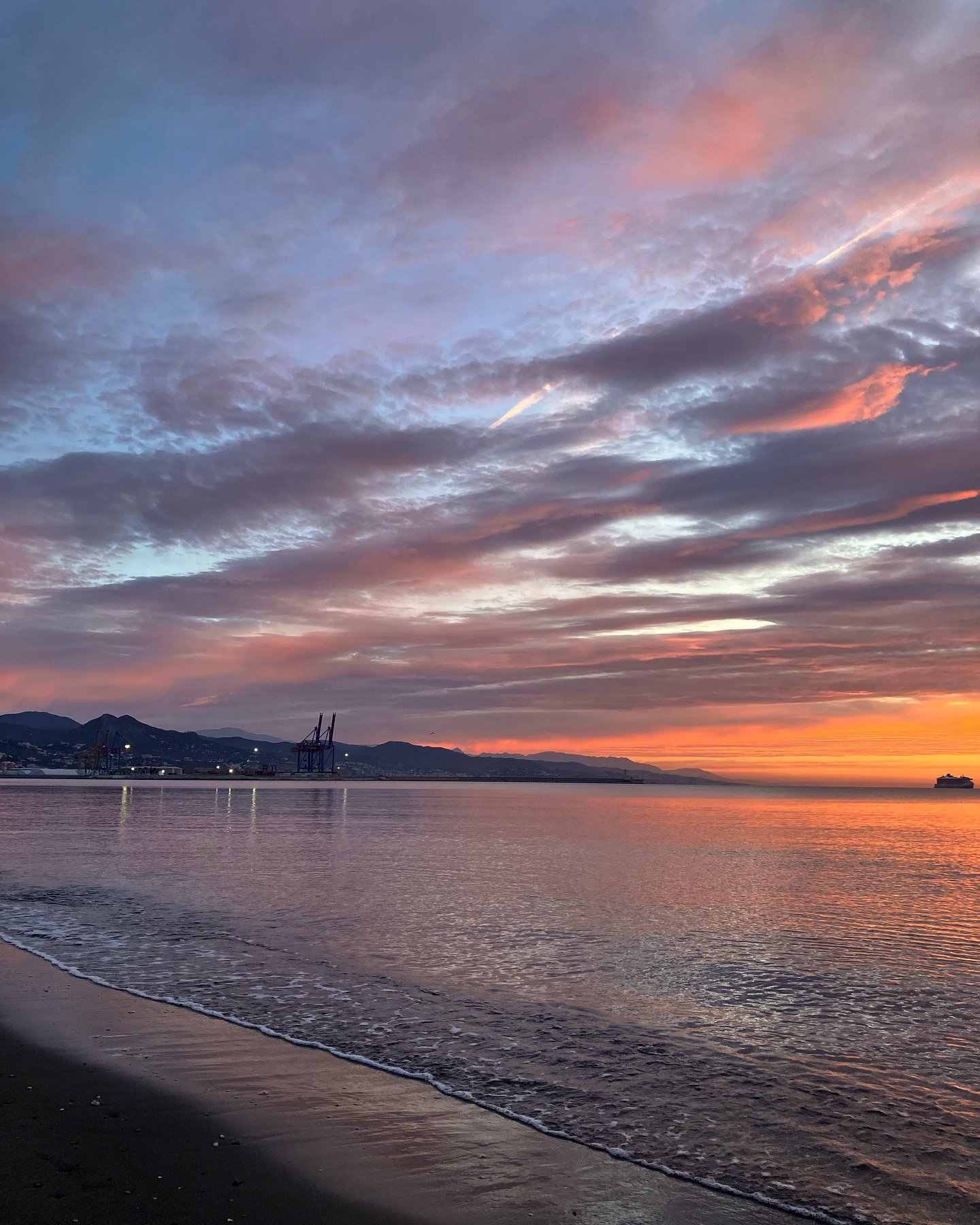 Mlea194's profile picture. 