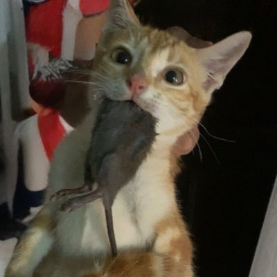 onedayimgonacry's profile picture. بموت انا حزيناااا🫙🥒