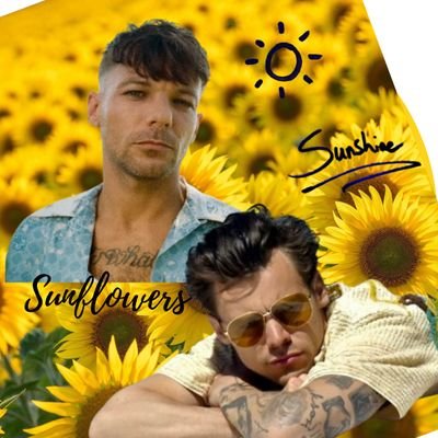 @HarryMeAndLouis