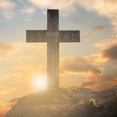 nicholasegesa1's profile picture. Software engineer  and Web developer...