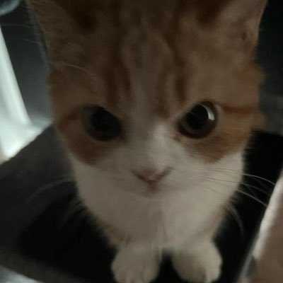 lelewinzz's profile picture. moneyfesting