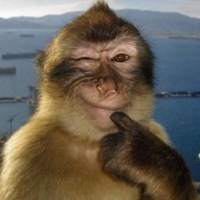 theblueprintnk's profile picture. @somewordz ➡️ « Lisez ! » - 2020, Macron dans un rare moment de lucidité.