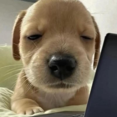 l2f6b's profile picture. 済 涙袋 貴族 唇フィラー 埋没×3 予定 目フル 鼻フル 顎ヒアル 裏ハムラ