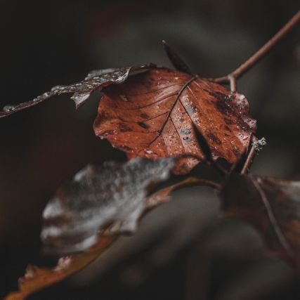 Fantasy_hongbo's profile picture. ※디엠알림이 오지않는 현상이 지속되어 현재 디엠창을 잠근 상태입니다.태그해주시되 양식이 맞지않으면 스루하는쪽으로 운영합니다.※

판타지 기반 커뮤의 홍보글을 알티홍보
해드리는 계정입니다.

홍보글 끝에 태그해주시면 알티해드립니다