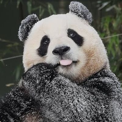 yyung54's profile picture. 