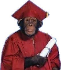 STatarenko25094's profile picture. gm