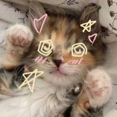 fomos_good's profile picture. 