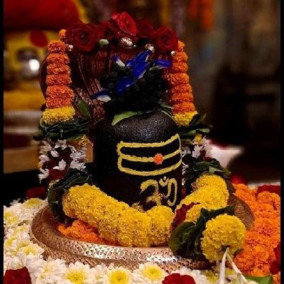 Rudra1014283's profile picture. 