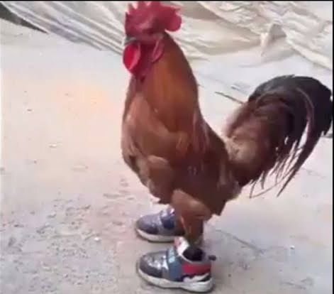 elizabe253484's profile picture. gm