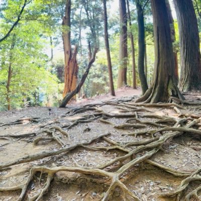 SaritRoz's profile picture. מנהלת פיתוח בהייטק, מנחת מסעות עיבוד חוויות לחימה ב״בשביל המחר״. מאמינה שאומץ אמיתי הוא להראות את עצמינו כפי שאנחנו באמת. הדעות כאן אישיות בלבד.