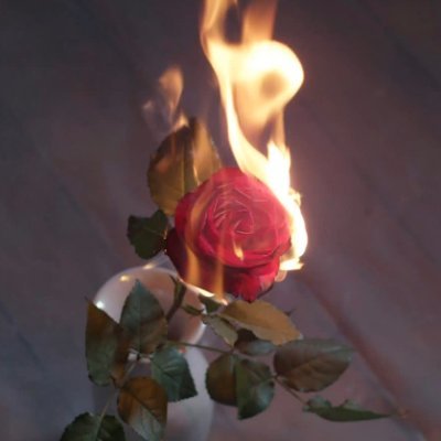 Litchiikariclub's profile picture. Gui/lt Sha/me
