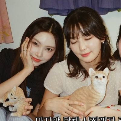 arktouroz's profile picture. i'm your baby, not baby