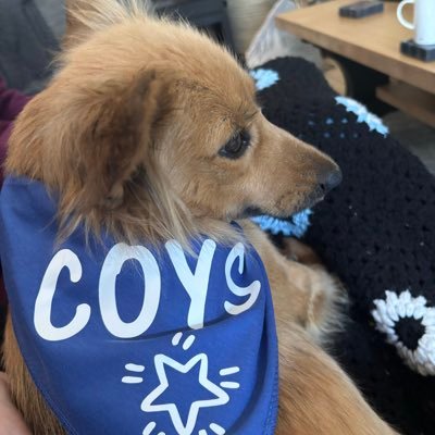 FPL_Catlady's profile picture. 3rd season playing #FPL. 23/24 🌍 18k. #COYS 🐓 & #MOT 🤍. Teacher, psychology student, forensics enthusiast. General nerd. I prefer cats to humans 🐈‍⬛