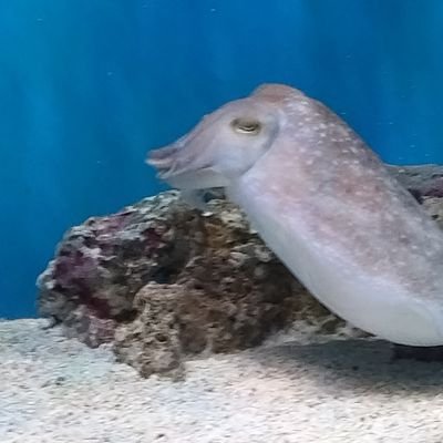 tFeEJRRbxJ10562's profile picture. 無言フォローします　 気にしないでください