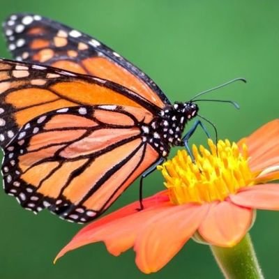 JaneConstanti20's profile picture. ❤️  @kuhchuk
Always medic main ⛑️