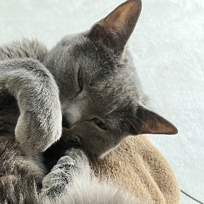 esakaha_'s profile picture. おむつが性癖のABDLですんでよろしく
#ABDL