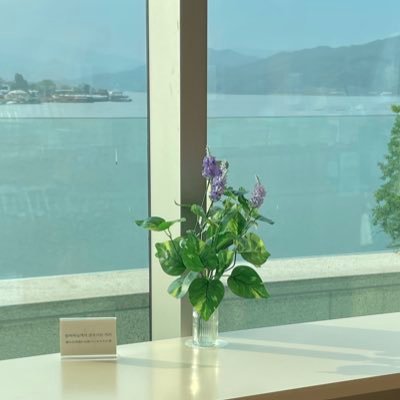 upnXmkI1jy81602's profile picture. 阿蘇久住大好き/のんびりと夫婦でキャンプ/韓流大好き/ヘルパー2級/感謝の生活/スパイ防止法制定