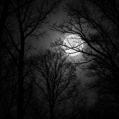 Muktharmuhd11's profile picture. Web3 developer/Blockchain developer/ UI/UX designer