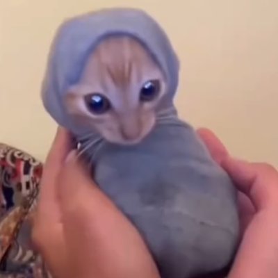 BloomAndBark's profile picture. DM for Collab, Credit or Removal.