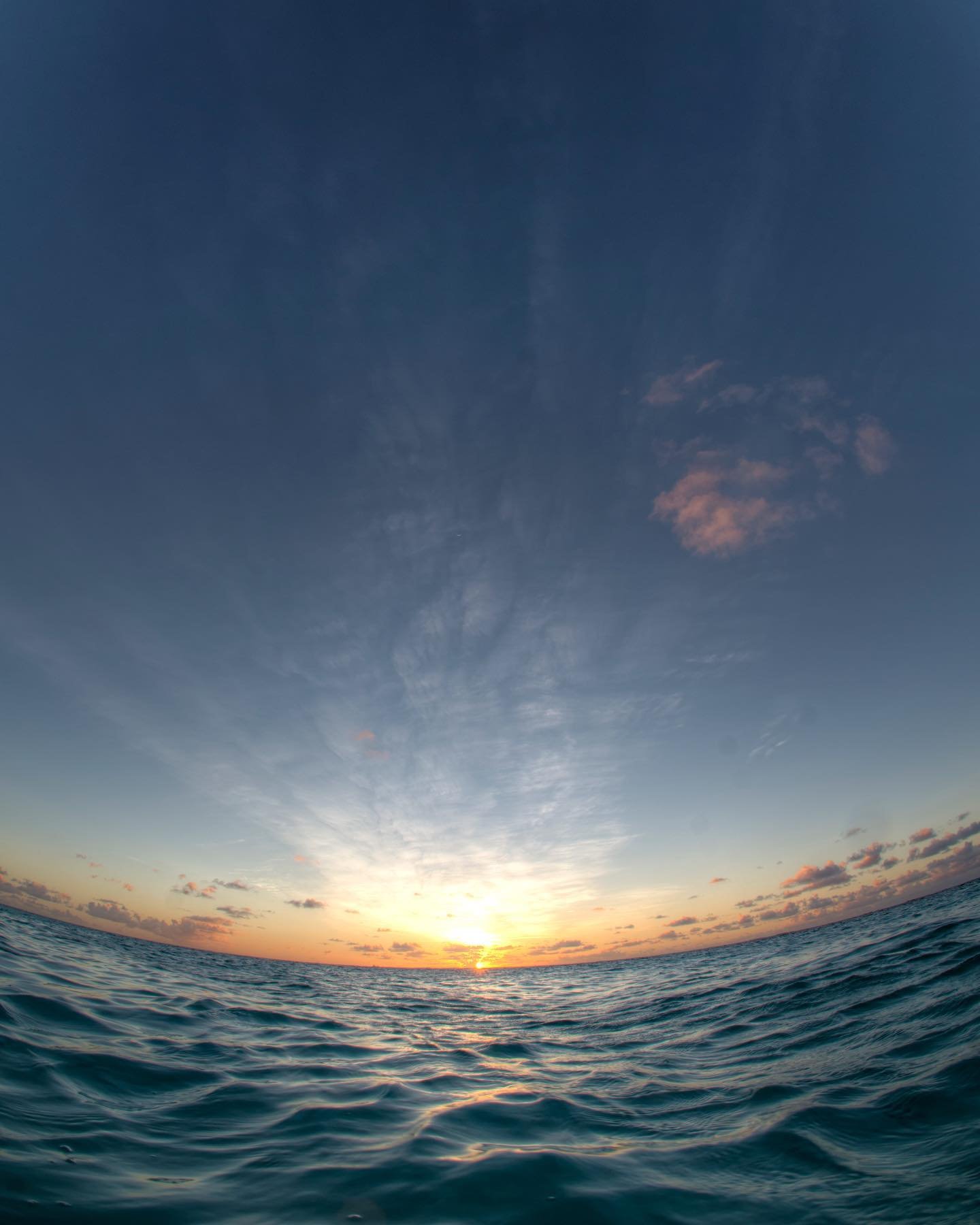 chnyxn44297328's profile picture. 