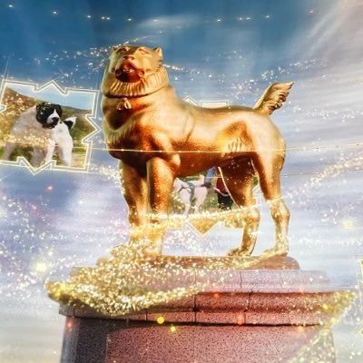 sohshi432's profile picture. 公式X。過激派。愛知のペヨンジュン・尾張の清原和博。富士重工謹製ZN6-H&BPE-D乗りで鉄道ヲタクのデブ。井上竜決死擁護。人生打倒讀賣。千種鉄道友の会総書記および龍谷大学公認(片思い)団体国史連合会長。大半が頭のおかしい呟きで申し訳ございません💢