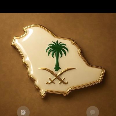 Hamed87161's profile picture. 