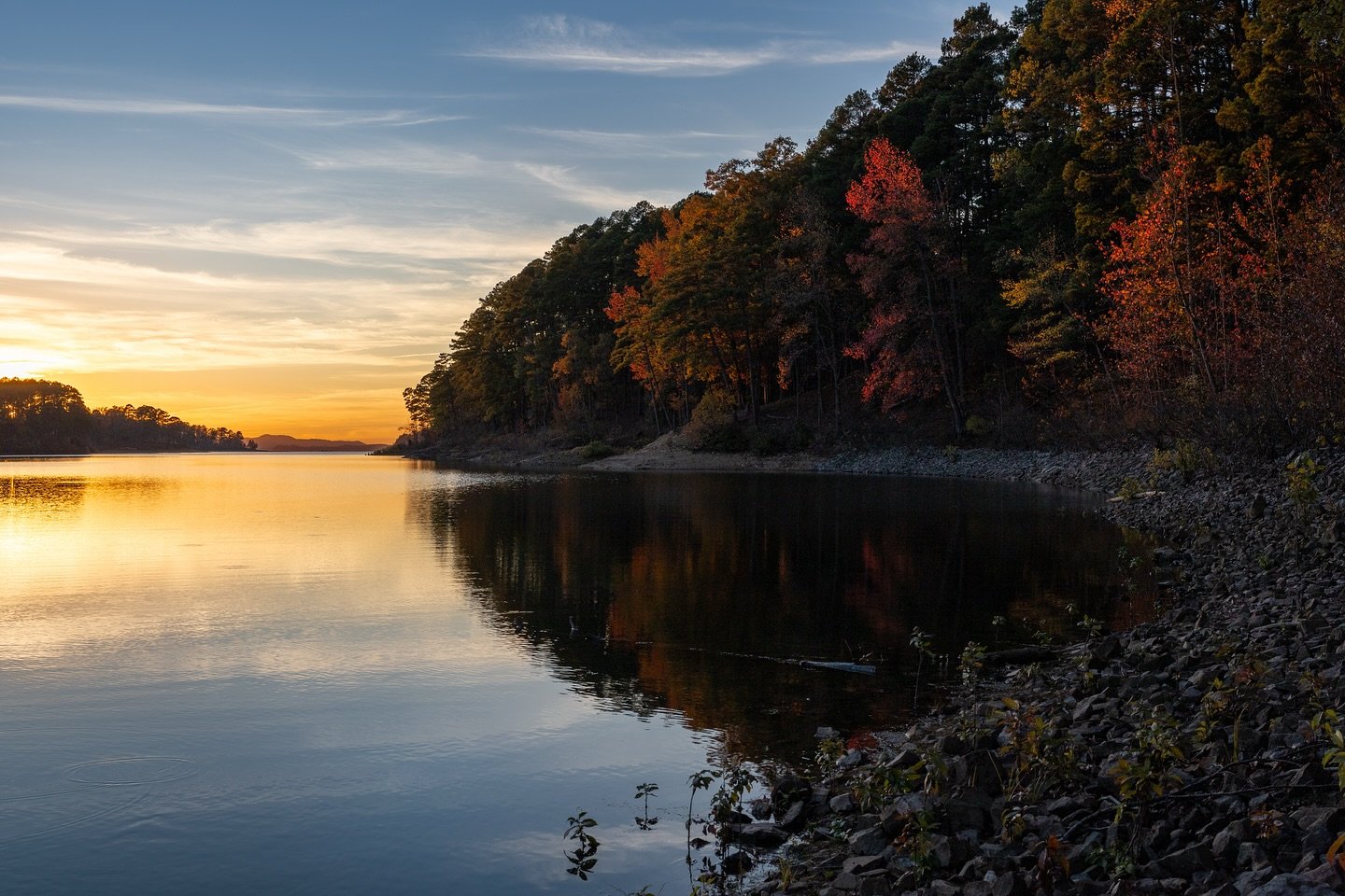 Parn12578334's profile picture. 