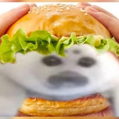 MotorsCrimson's profile picture. Bleach and transformers enthusiast 🗿