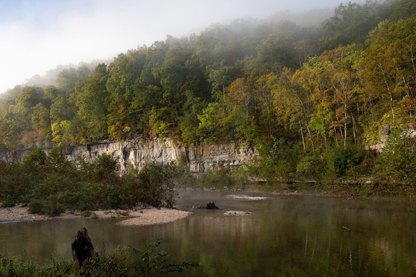 zy_kkkkk's profile picture. 