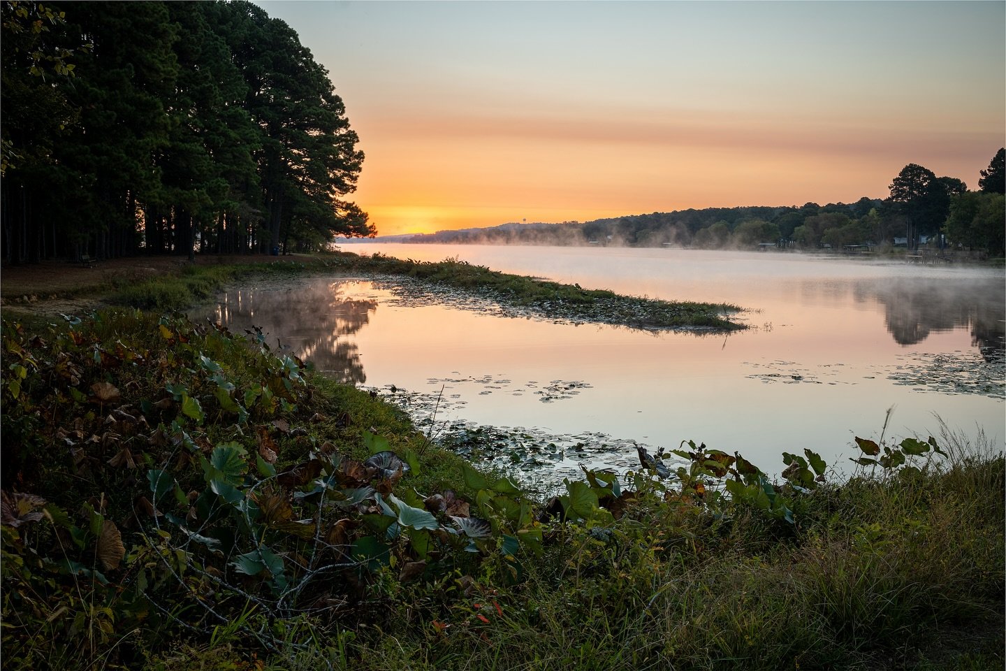 NNudpa's profile picture. 