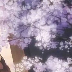 0enper0's profile picture. こんにちは 見る専門の夢垢です20↑です      最近は銀魂に死ぬほどハマってます 仲良くしてね、