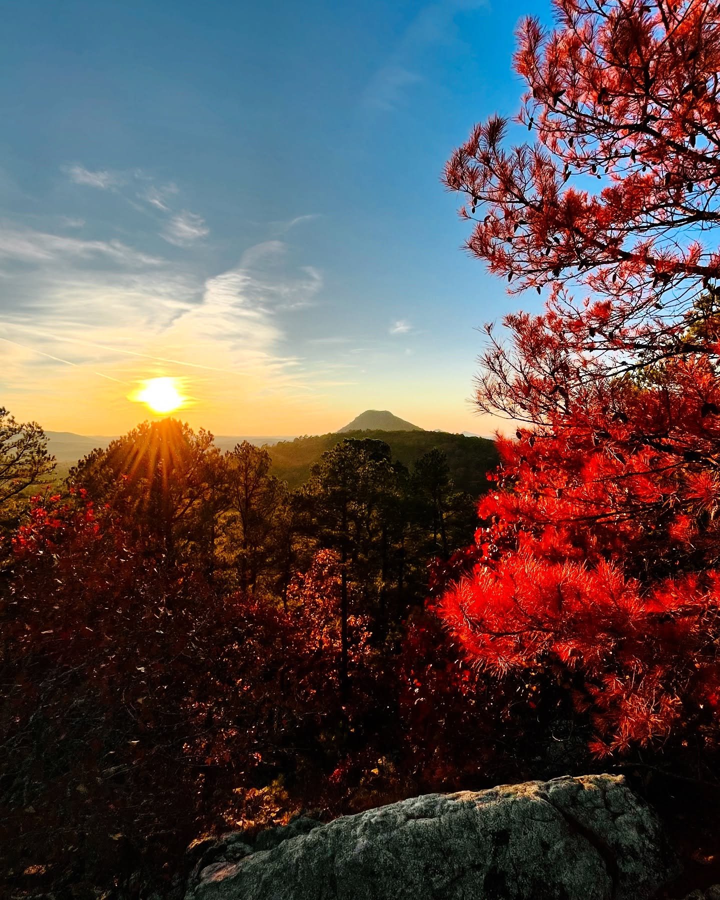 DDKD849041's profile picture. 