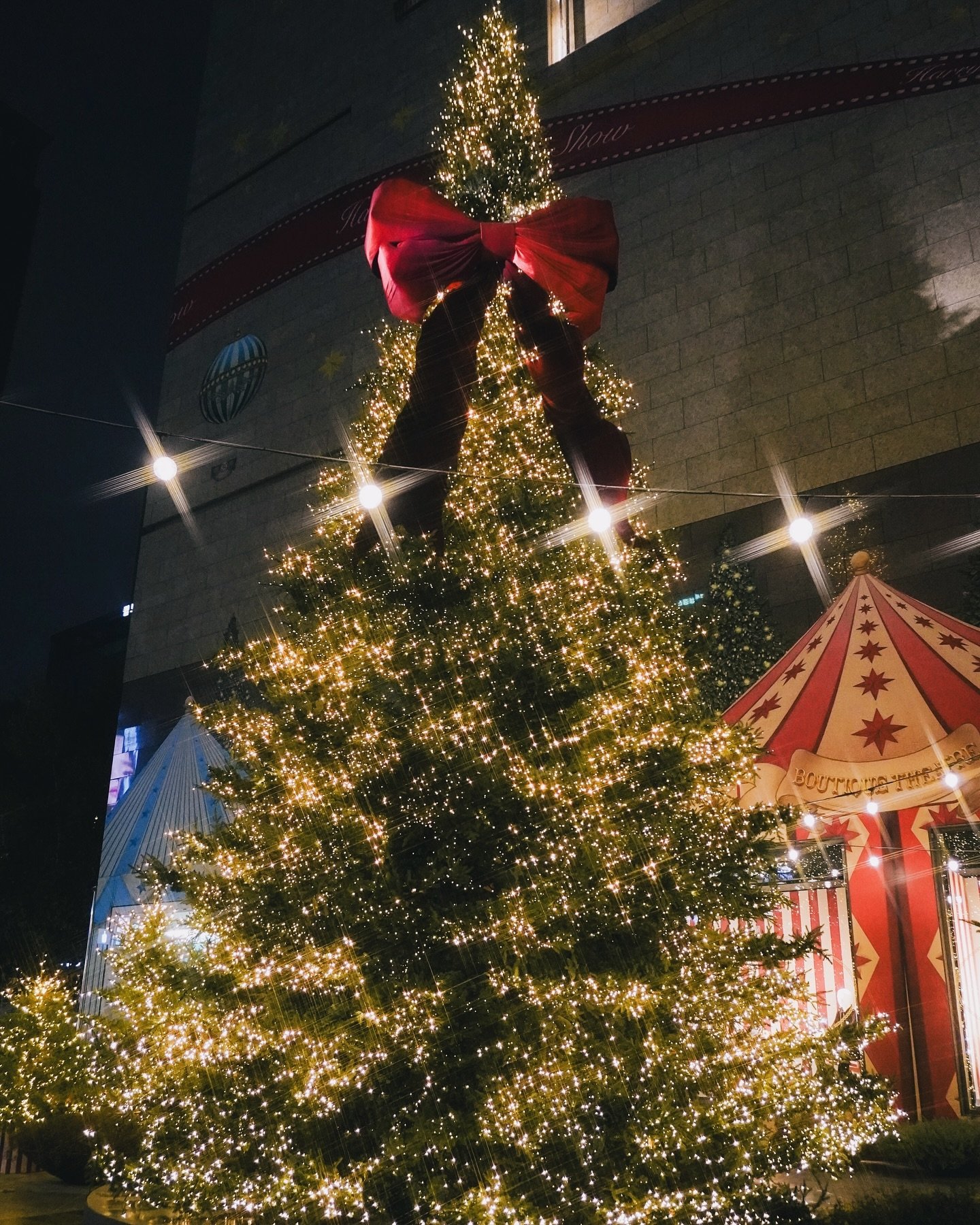 P_Sunmal's profile picture. 