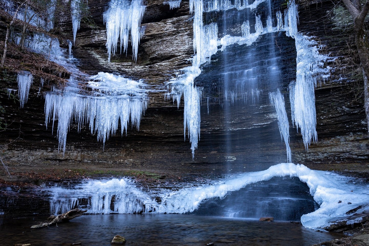 snow09332018's profile picture. 