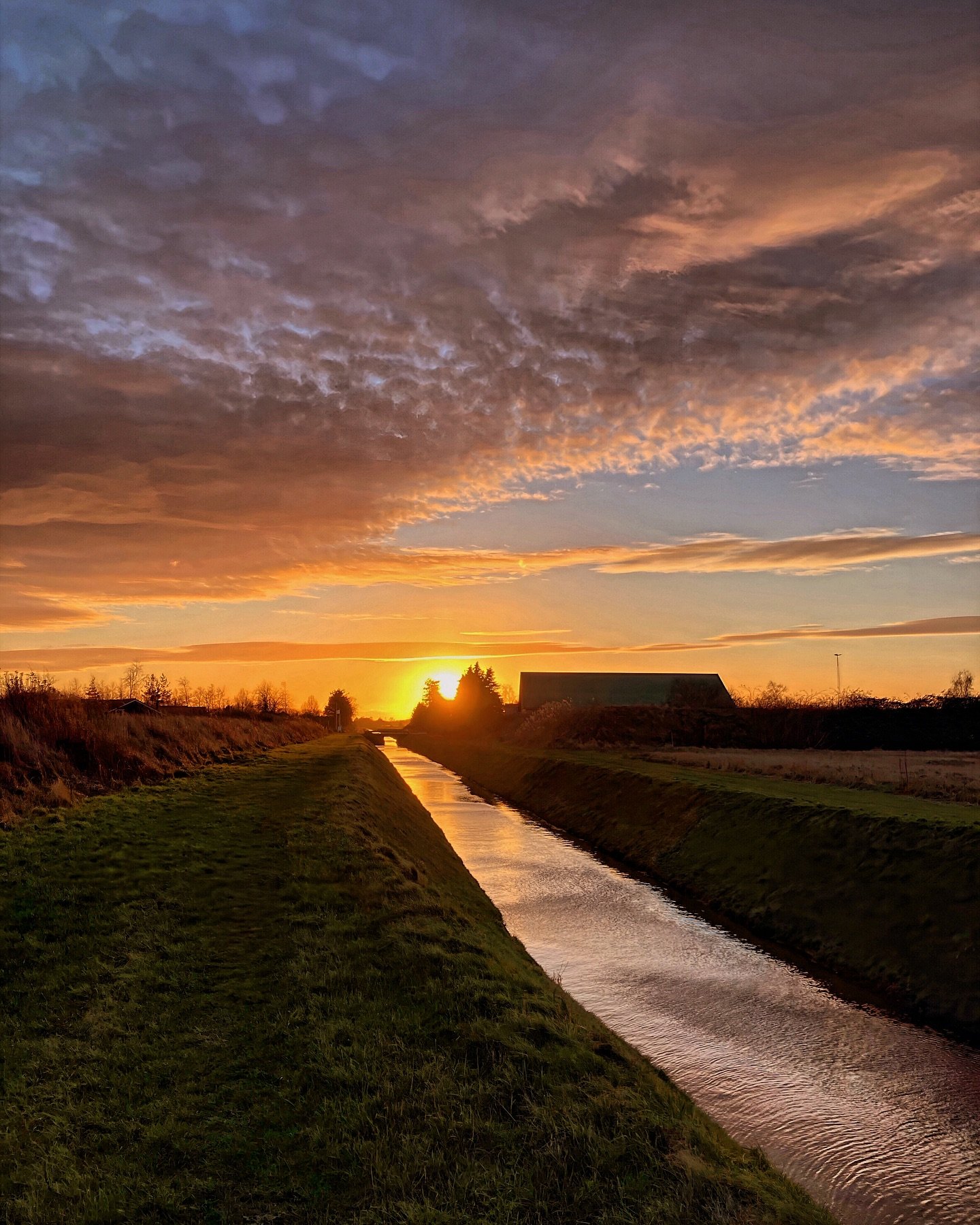 xoxiao666's profile picture. 大鸡鸡