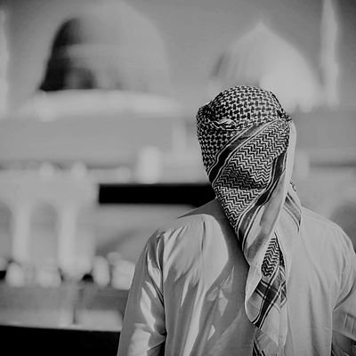 olamilekansi_x's profile picture. •Building in public •Let's connect.