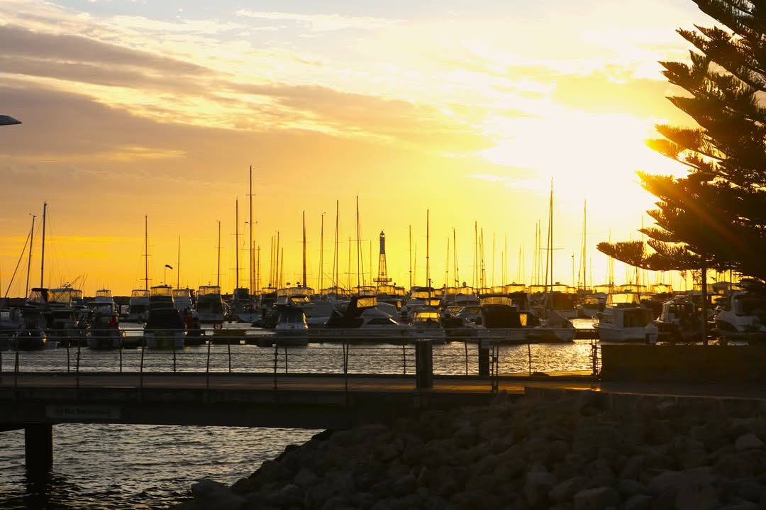 4d26nV7FMbSy9Fa's profile picture. น่ารัก อ้วน