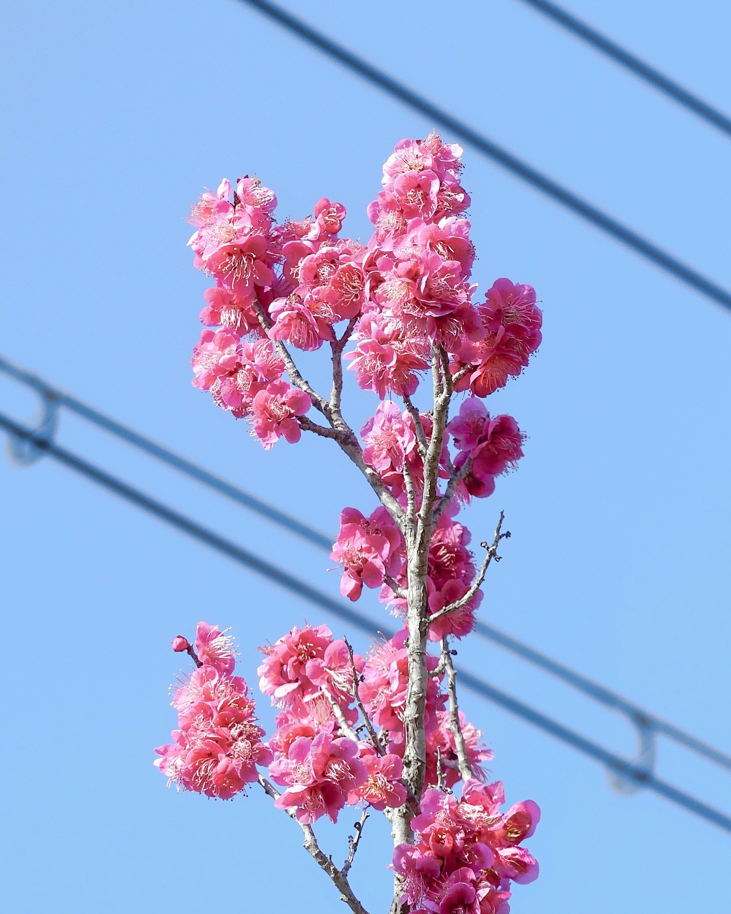 ty0707_'s profile picture. 