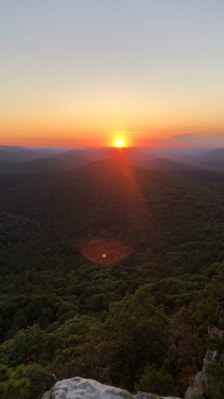 tb19811's profile picture. 