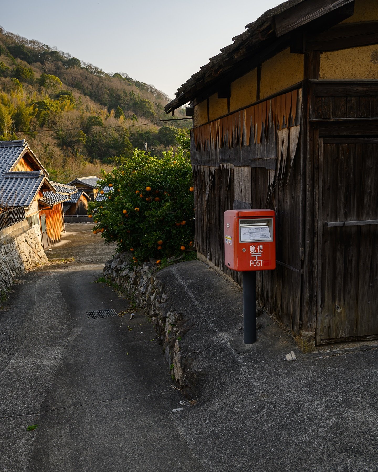 khanphod1's profile picture. 