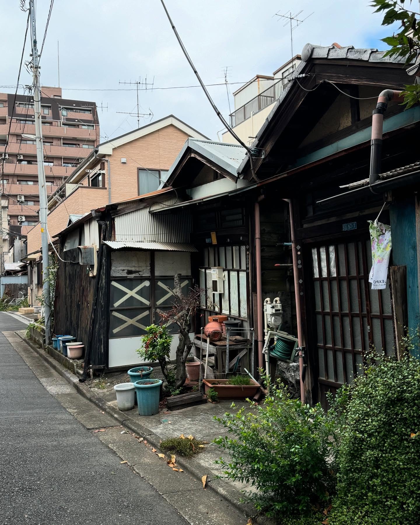 KENGAMO2's profile picture. 