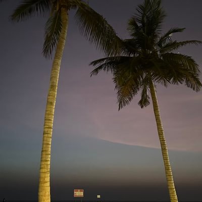 lolonsa's profile picture. بتزين