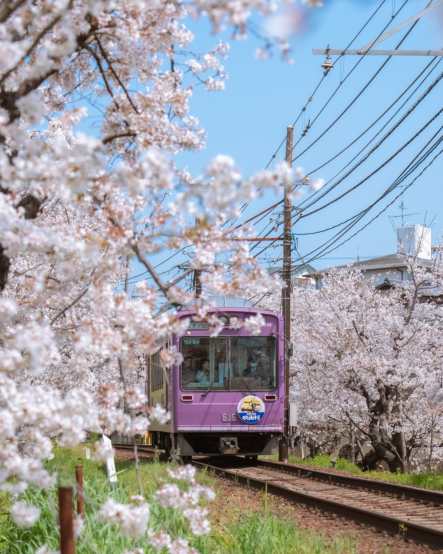 My00031ommy's profile picture. 