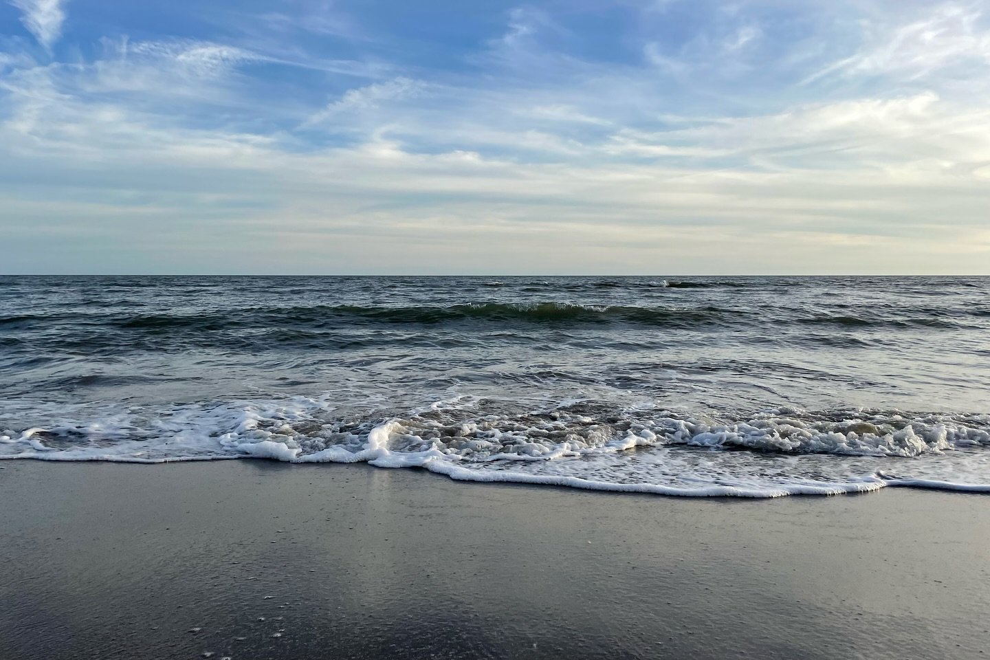 neternnesz's profile picture. 